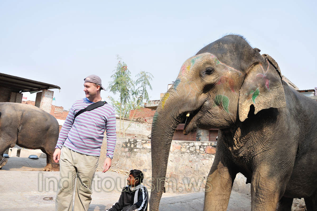 We won't been warned about bananas. It's a pity, but we don't have more bananas!