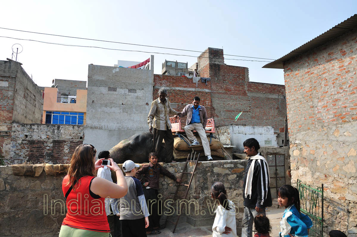 Mahouts have put the stairs for us