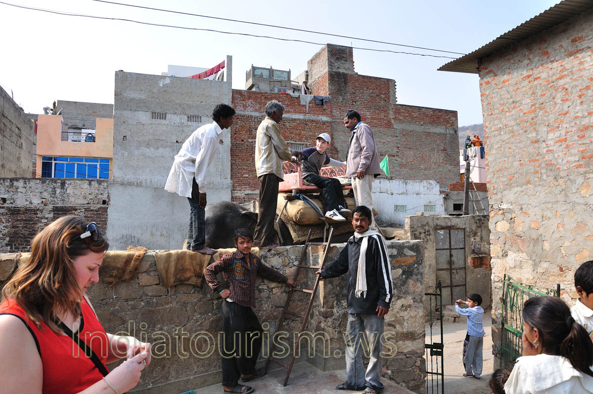 My son is going to sit on the elephant