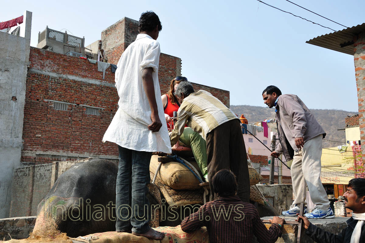 My wife have sat on the elephant also