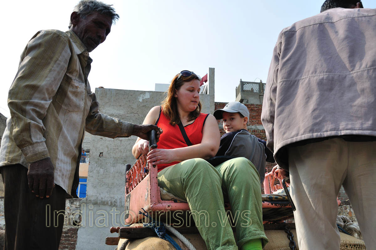 My wife a little bit afraid to sit on the top of the elephant