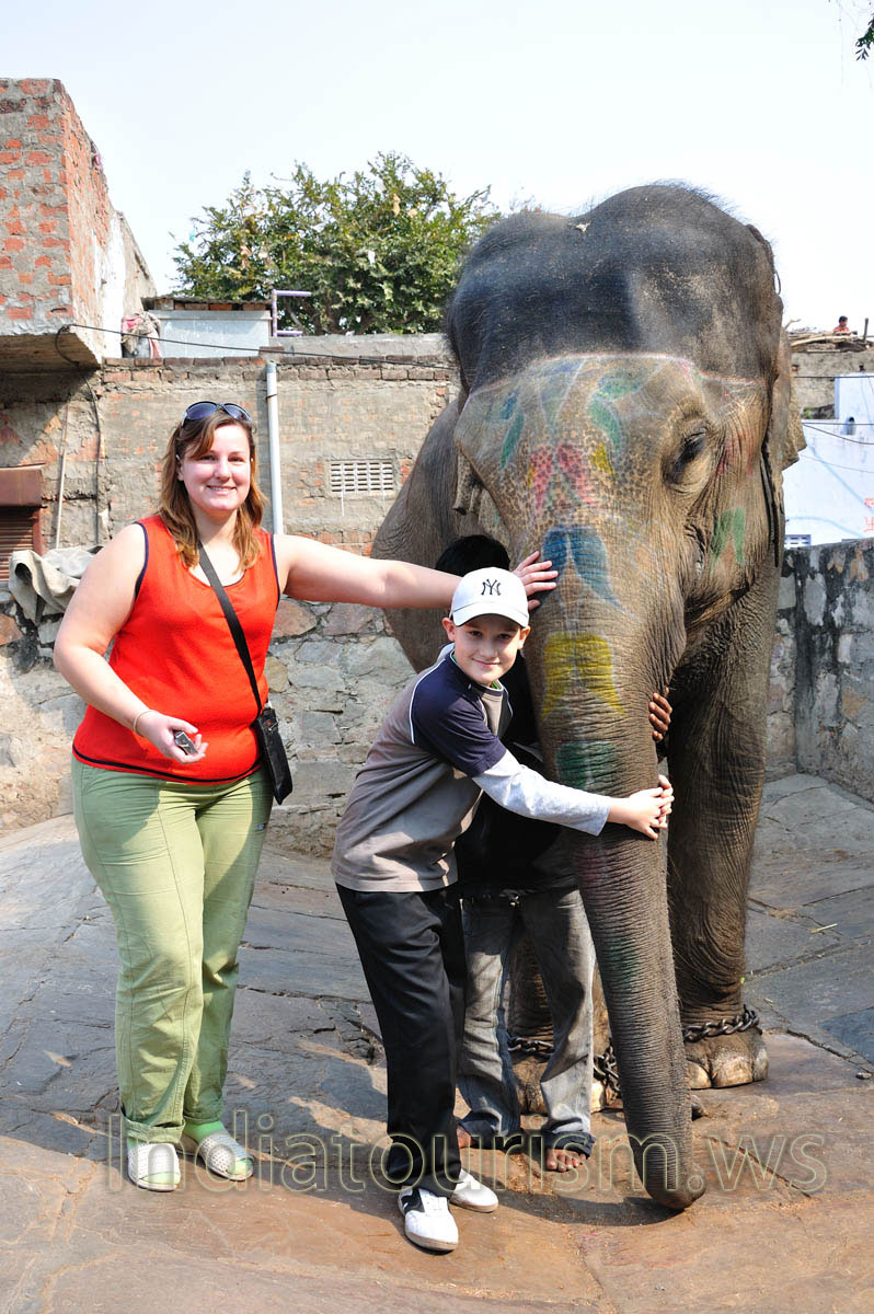 My son embraces the trunk of the elephant