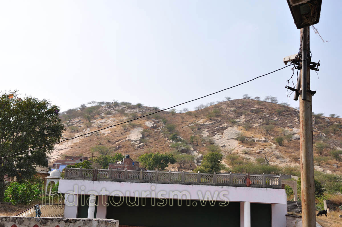 judging by the blurring of the image can be seen that our elephant goes very fast