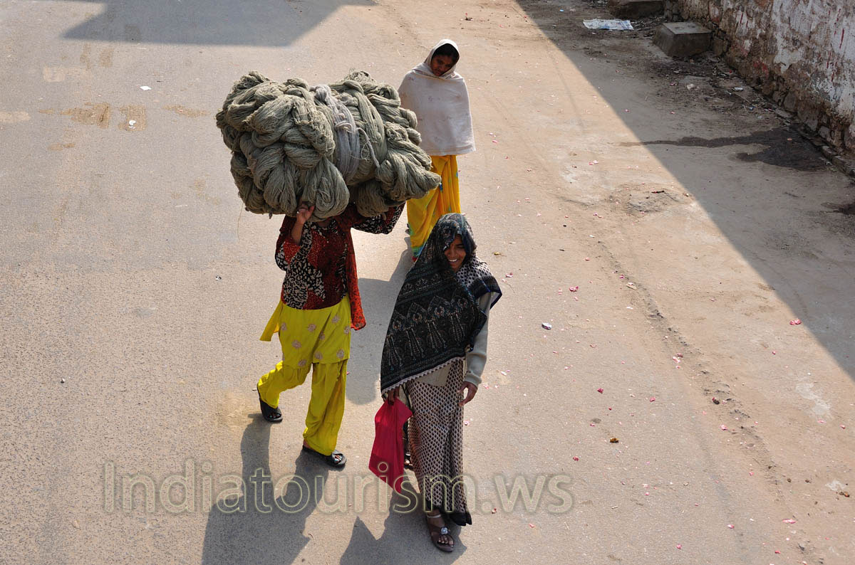 smiling Indian girls go behind the elephant