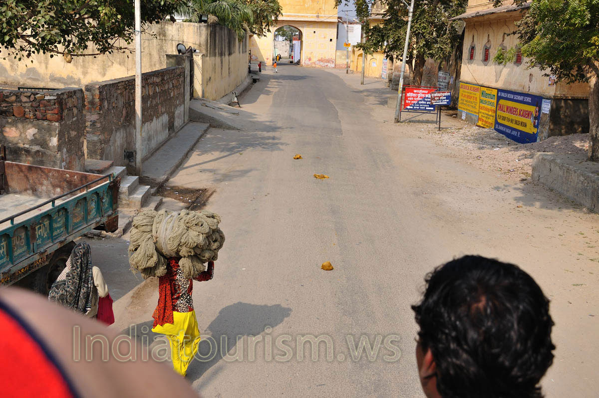 we can see feces of our elephant on the way back