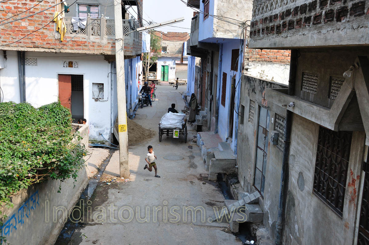 At the narrow street elephant has to go around the vehicles