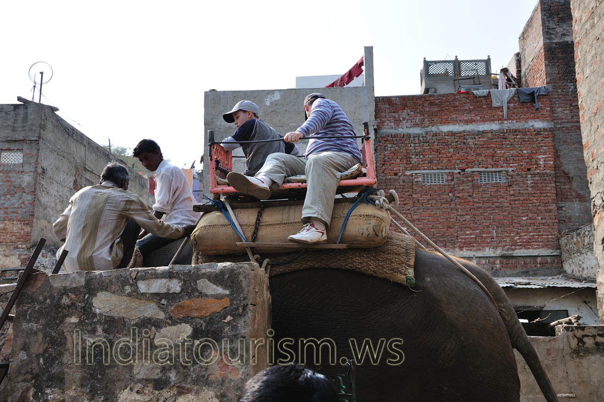 I and my son on the elephant