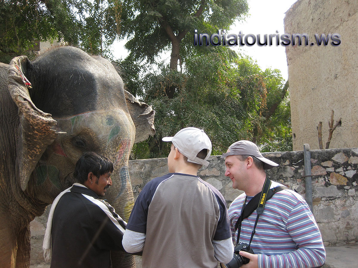 mahout gives us permission to touch the elephant