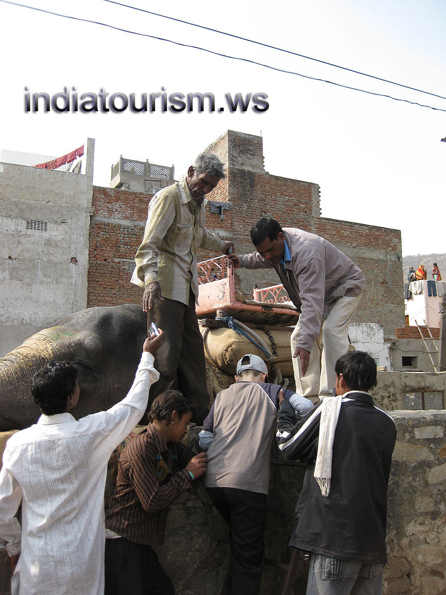 all people help us to climb on the elephant