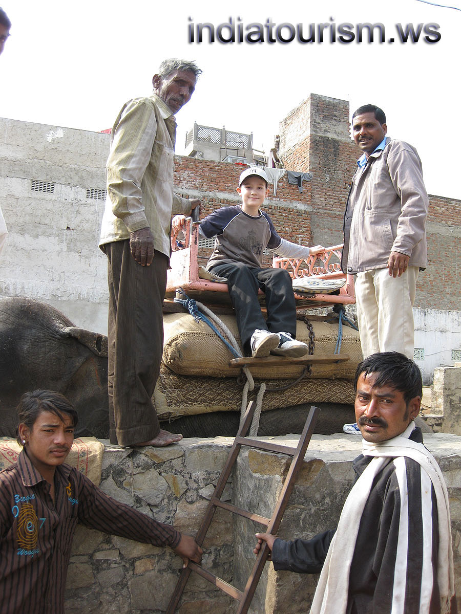 my son is posing being on the top of the elephant