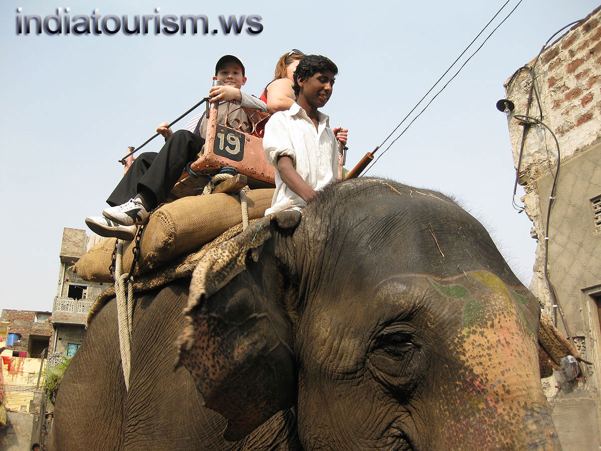 all of us are smiling in the time of elephant ride