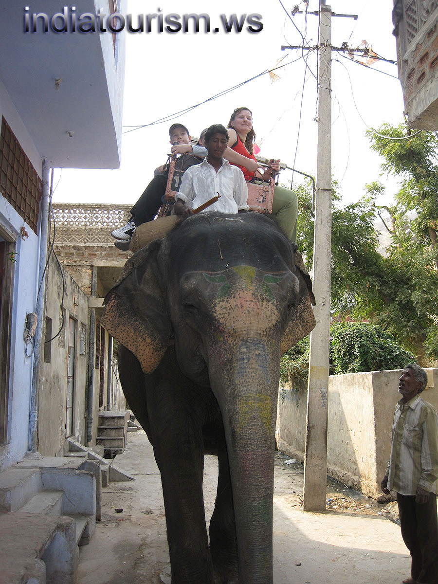 high in the sky... and a little bit lower than electrical wires