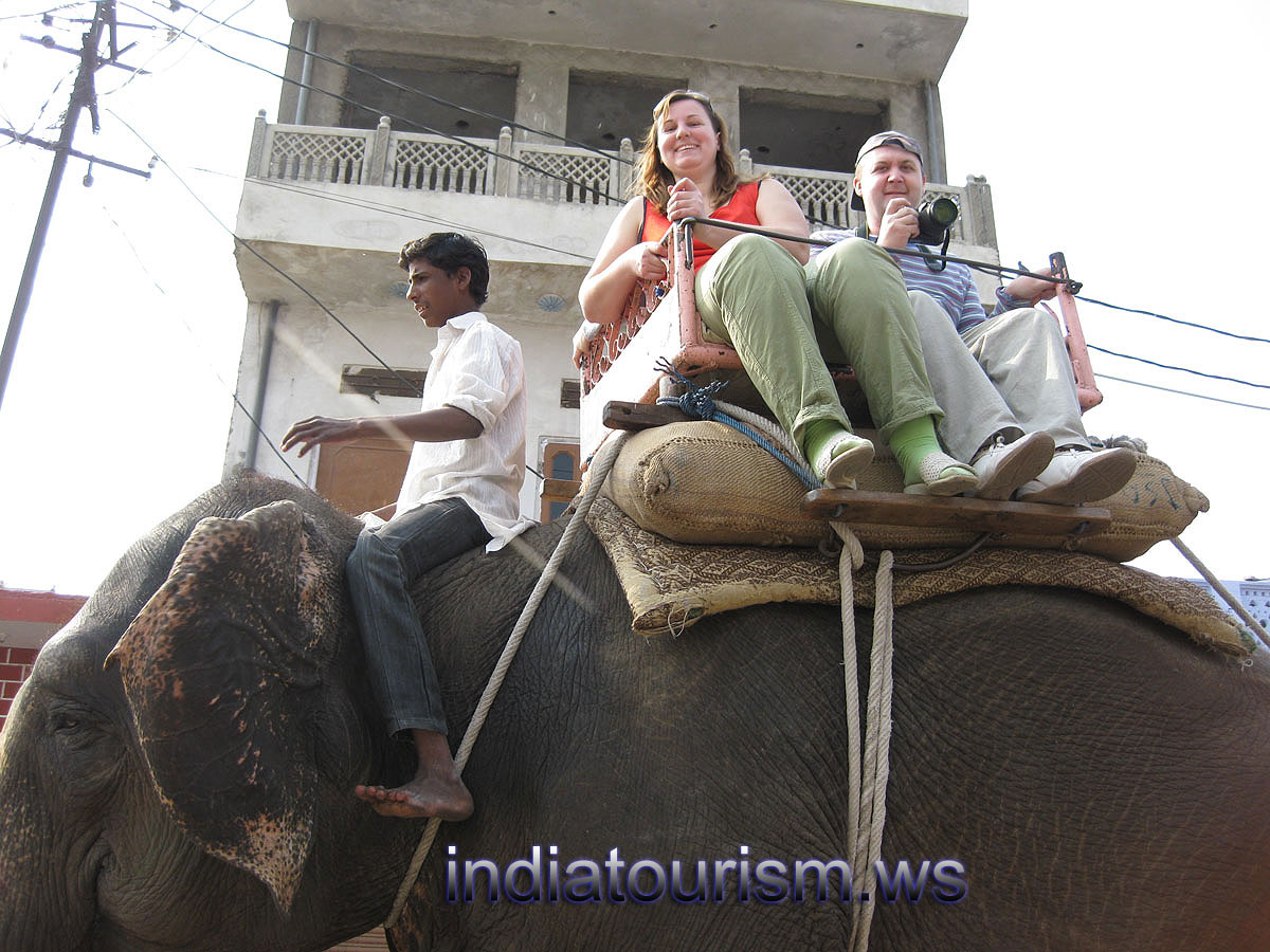 elephant riding can bring up lots of emotions