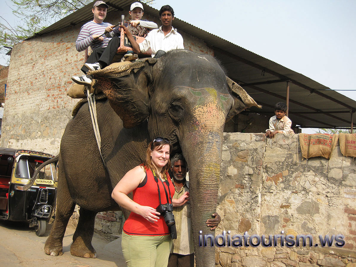 we are and the elephant