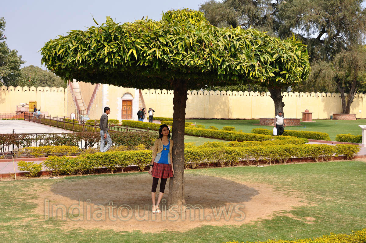 The Indian girl is posing under the tree