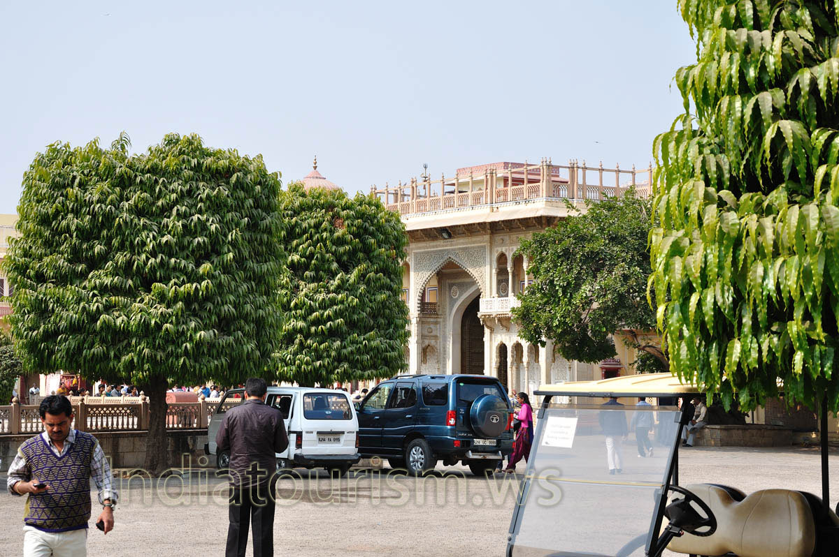 There are the nice shaped trees inside the City Palace complex in Jaipur