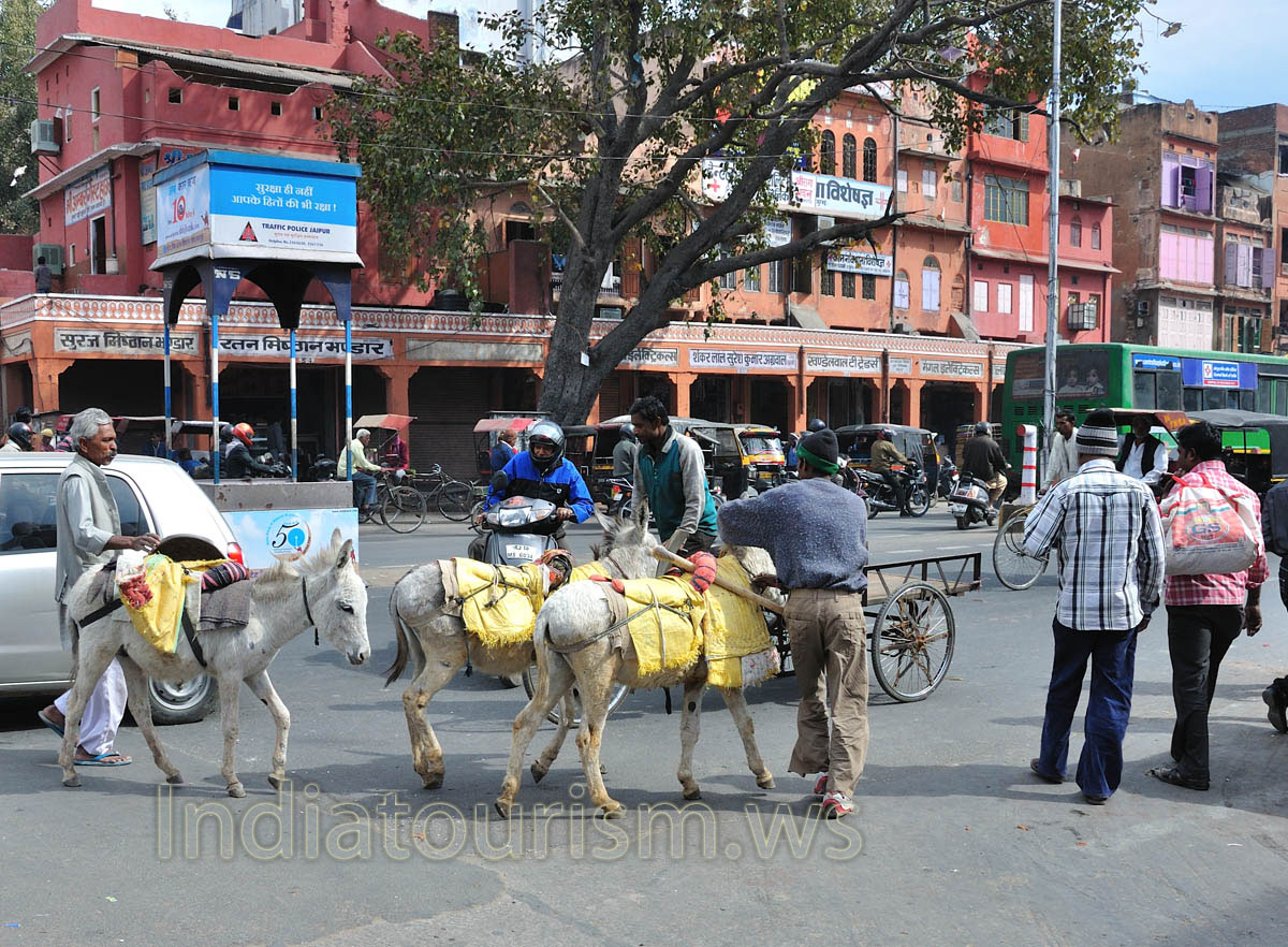 Donkeys go along Chandpole Bazar at the crossroad with Khazane Walon Ka Rasta