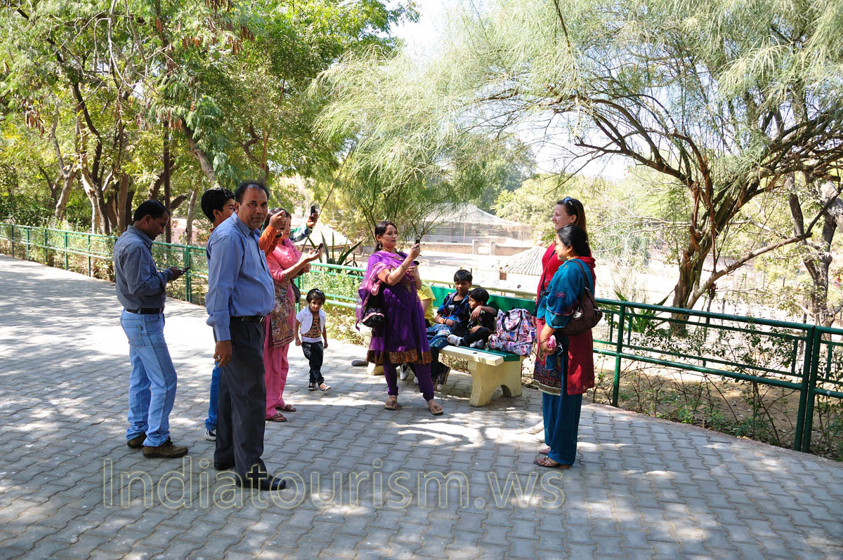 we like to photograph each other