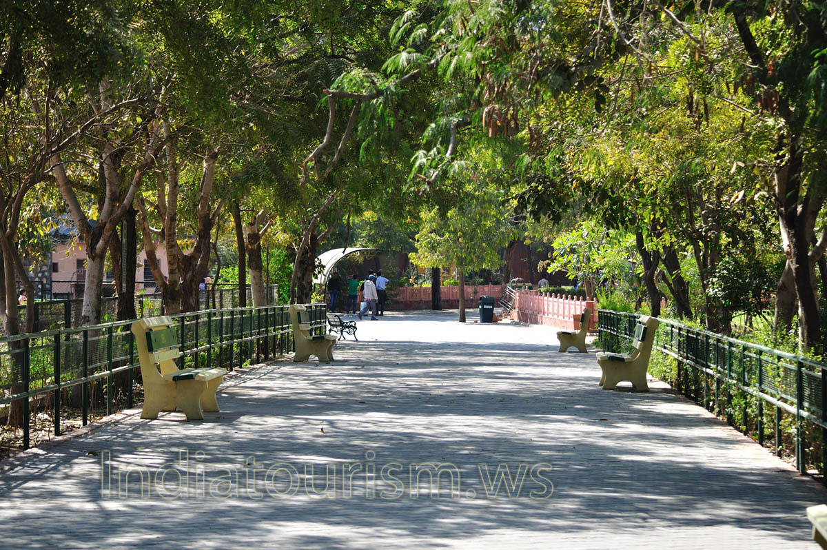 pathway in the shade of trees