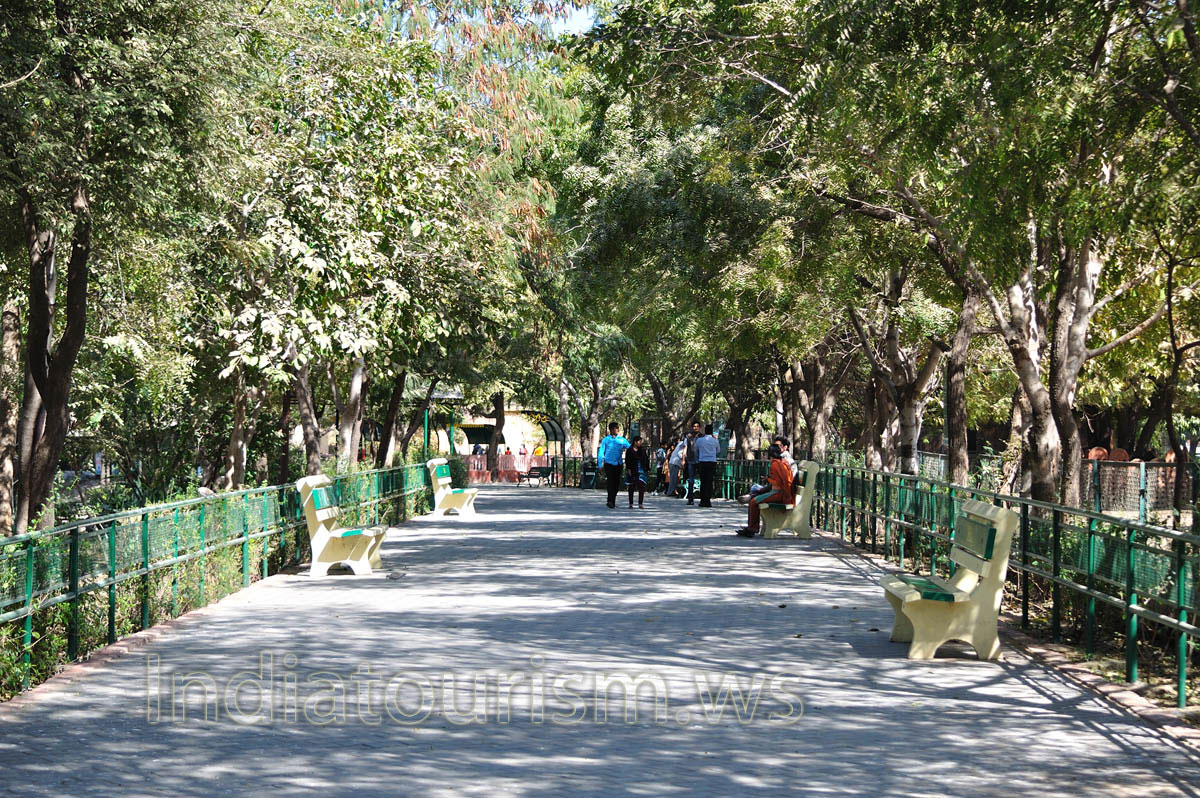 all pathways of the zoo are wide