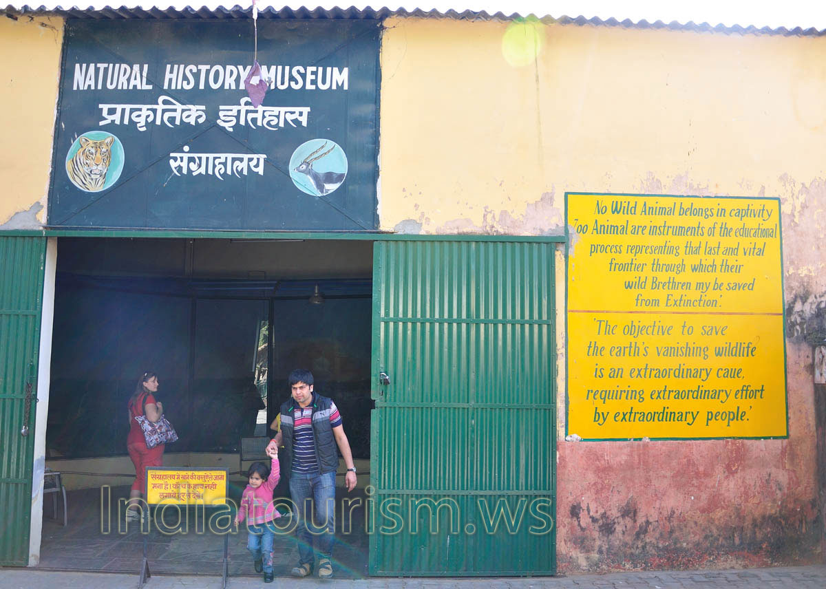 Natural History Museum