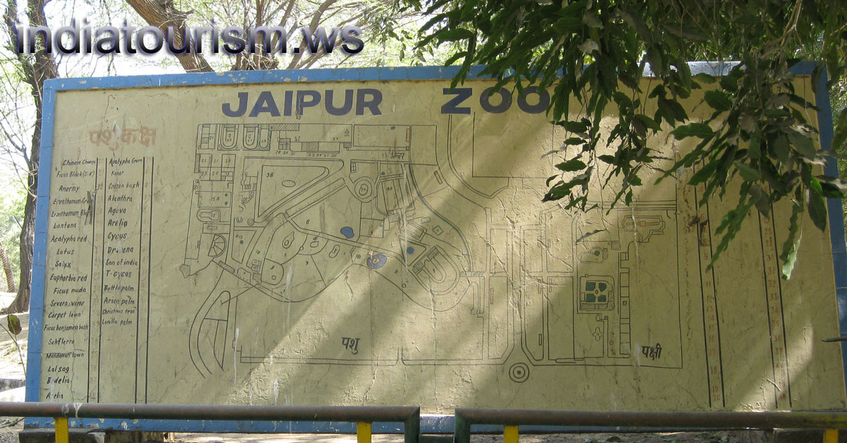 old scheme of the zoo