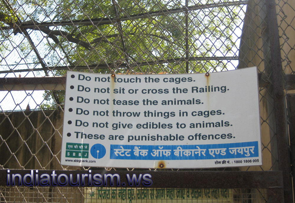 do not tease the animals
