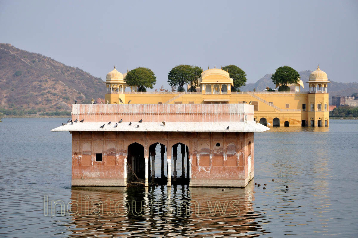 The pigeons have 'decorated' the roof to the white colour