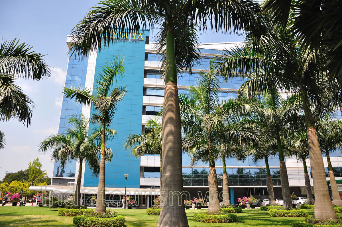 huge royal palms in technology park Olympia