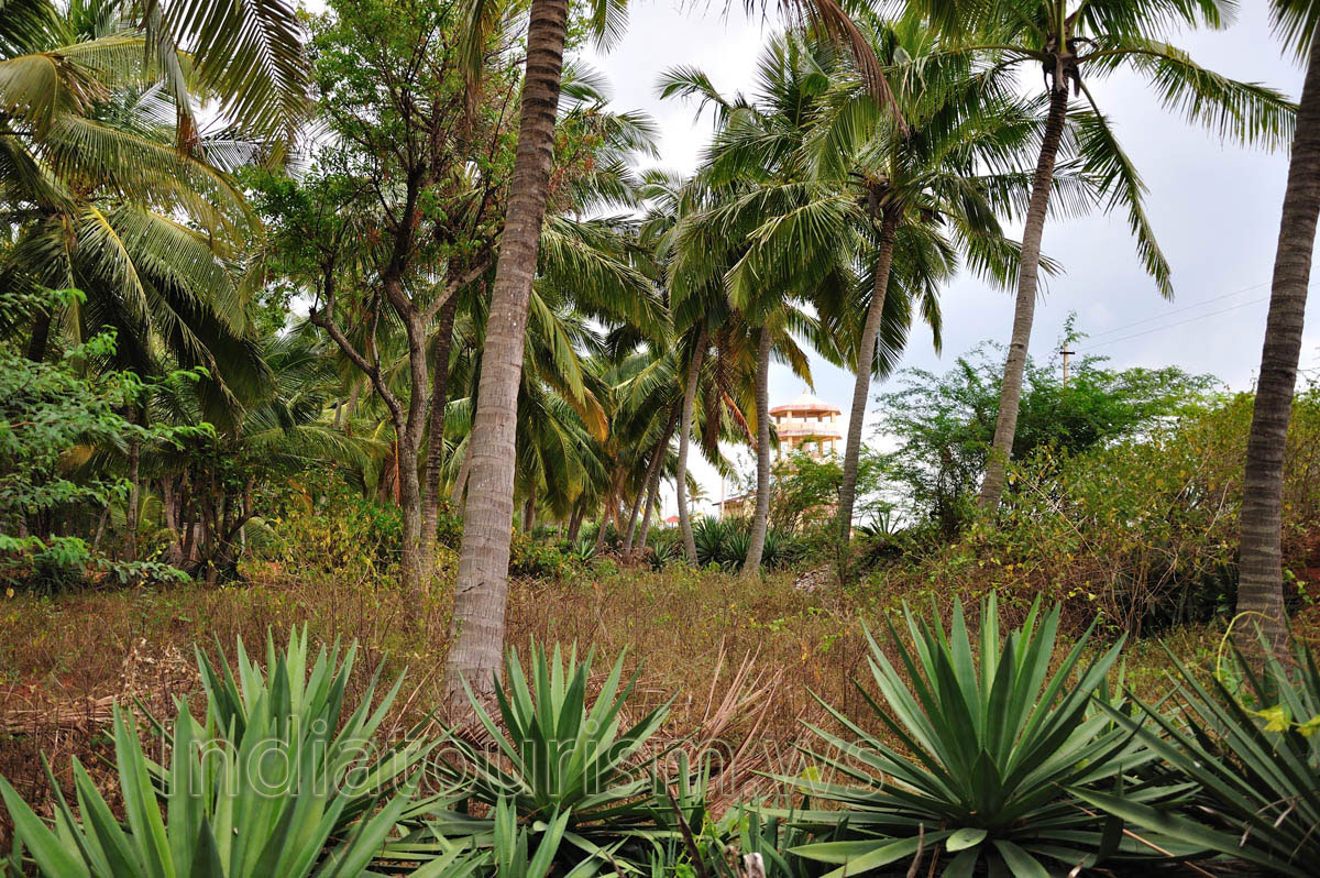 tower beach is visible from a distance