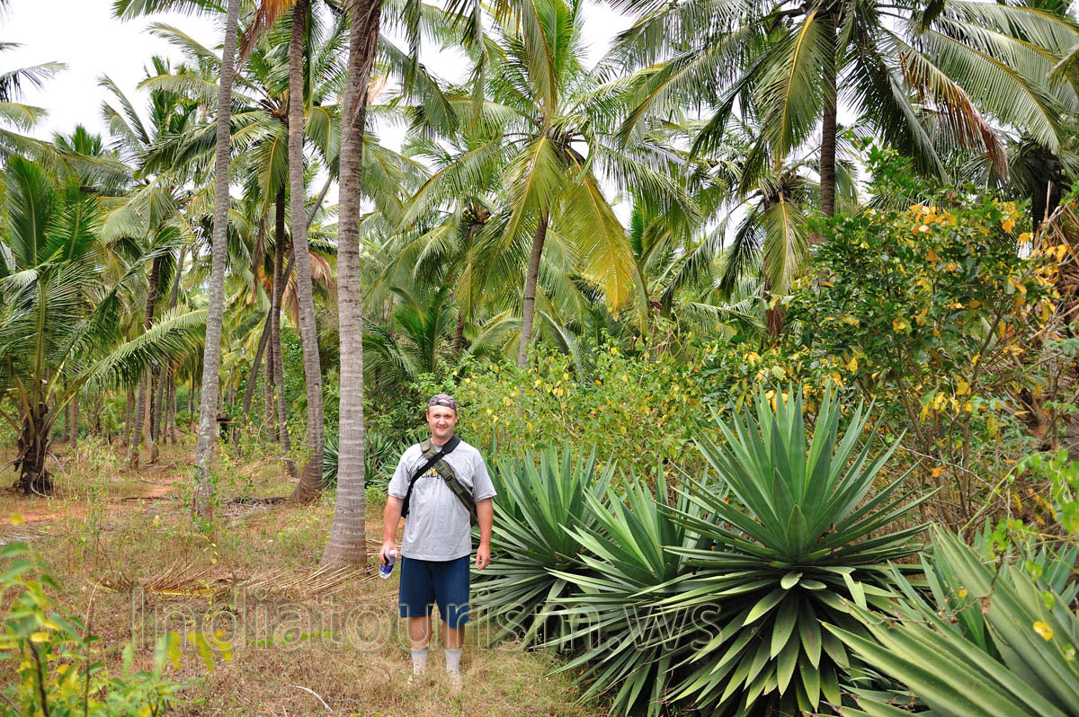 me against the background of agaves