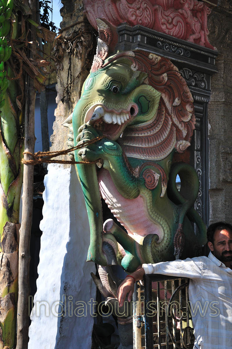 dragon with an elephant's trunk