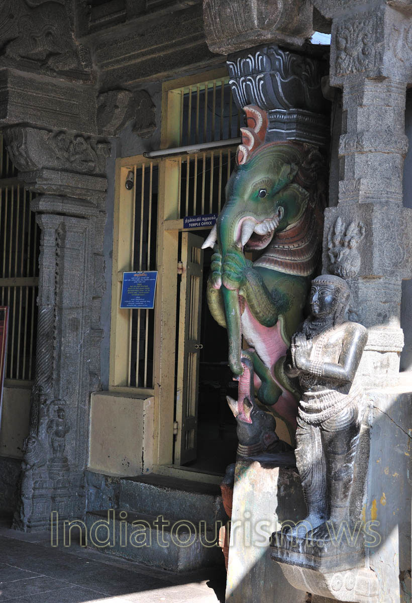 the dragon and the elephant