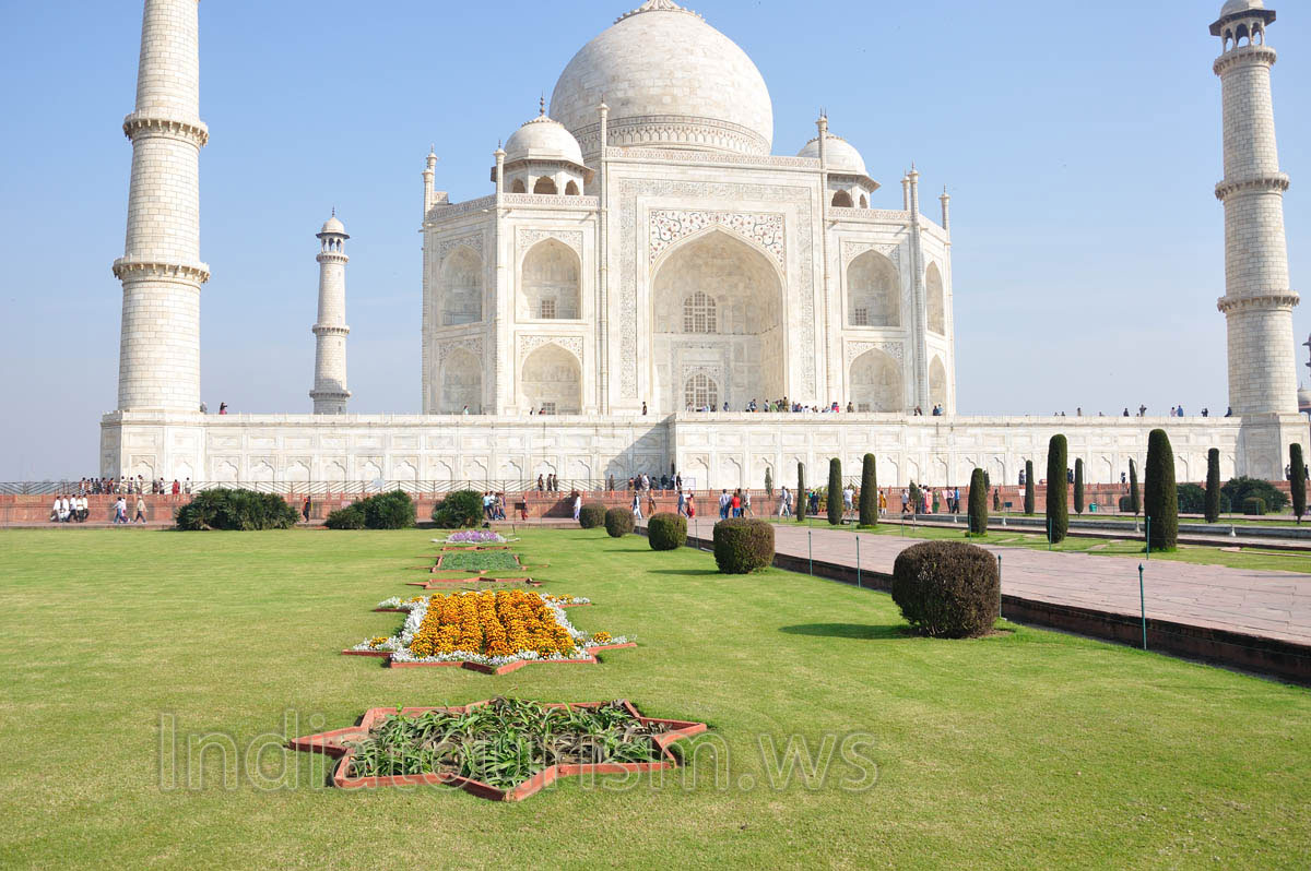 Star-shaped flower beds
