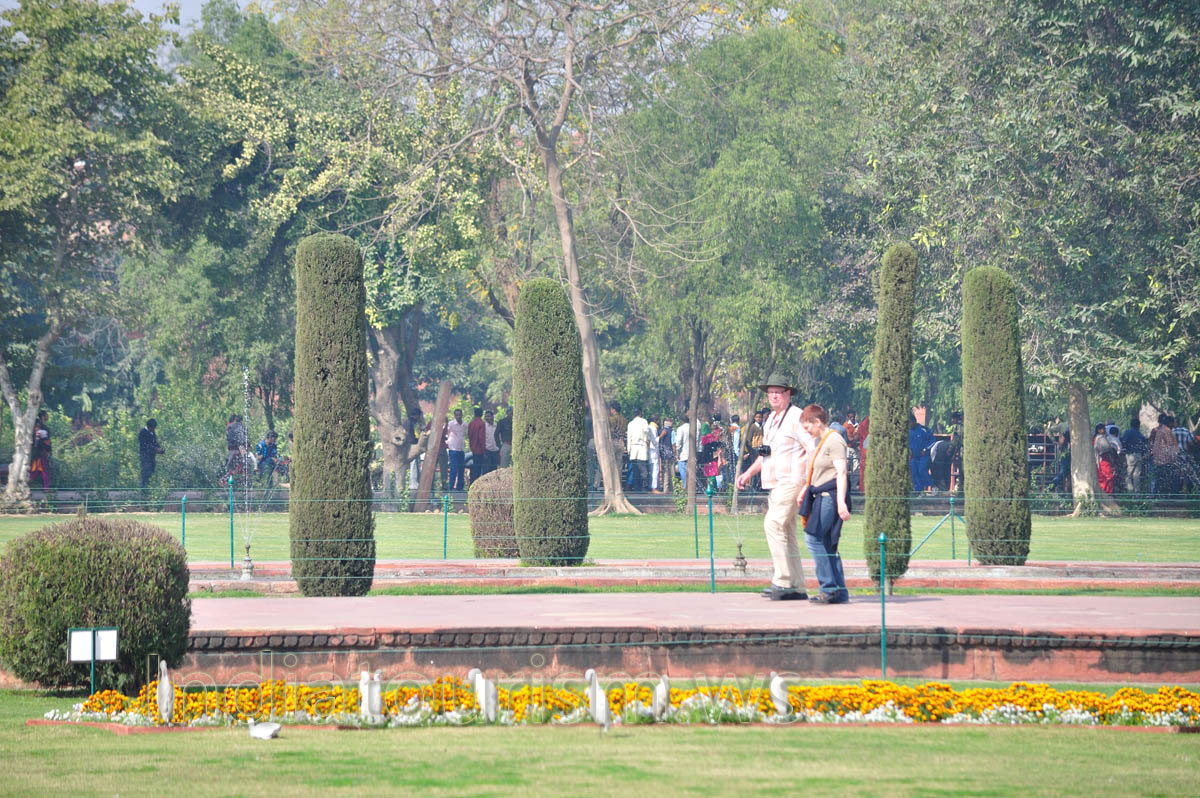 Herons in the Mughal garden