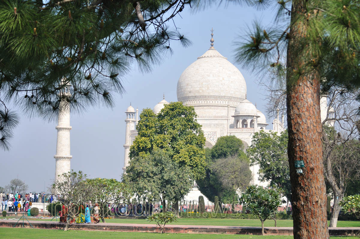 Taj Mahal seen through the trees