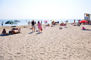 The free beach of Rimini in July