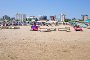 Loungers and parasols on the beach