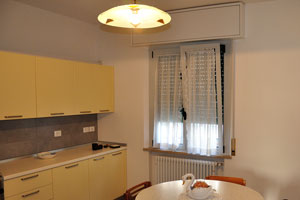 There is the well-equipped kitchen in apartment