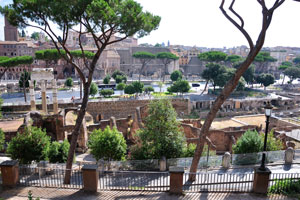 Forum of Caesar and Forum of Augustus