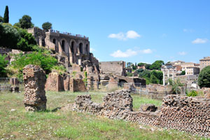 House of the Vestals in the Roman Forum