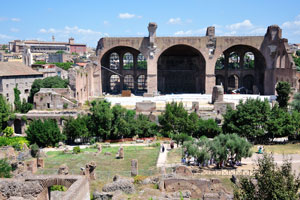The Basilica of Maxentius and Constantine is the largest building in the Roman Forum