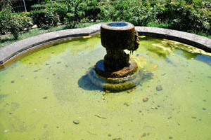 Fountain is in the Farnese Gardens