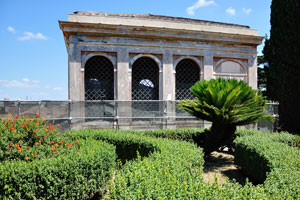 A Sago palm was planted in the Farnese Gardens
