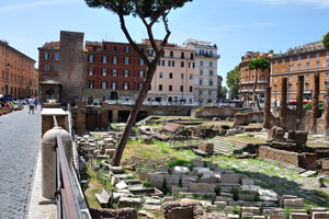 The medieval Torre del Papito is behind the archaeological area of Largo di Torre Argentina