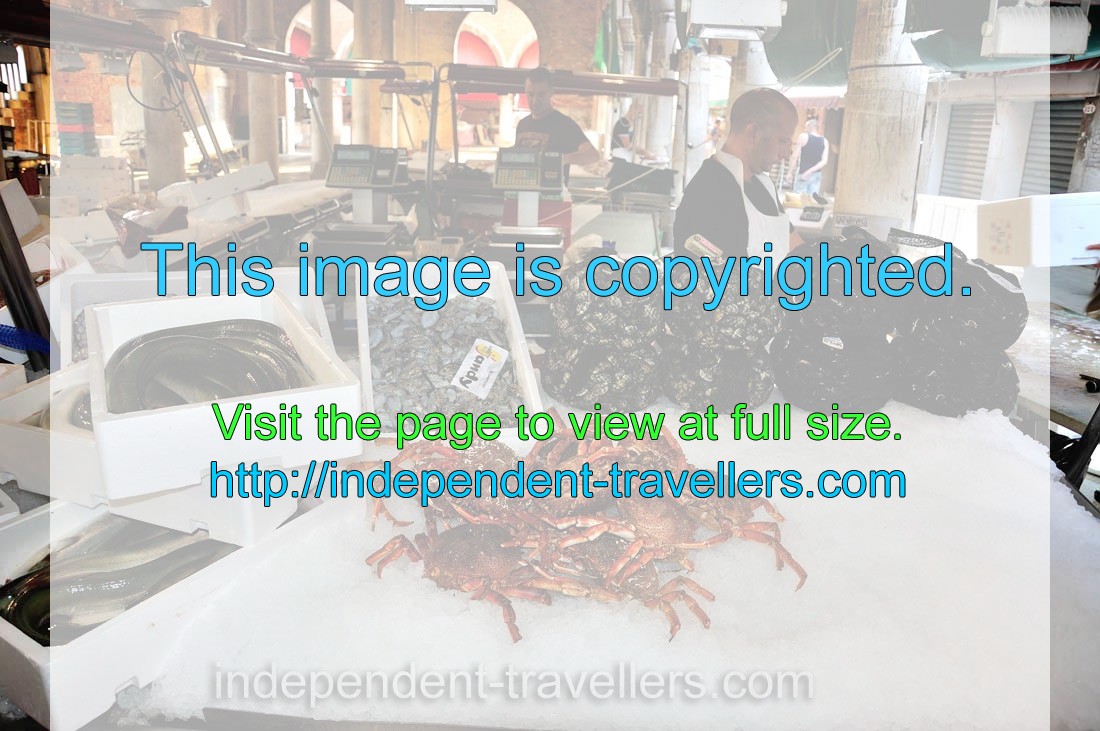 Rialto fish market: live crabs and edible molluscs