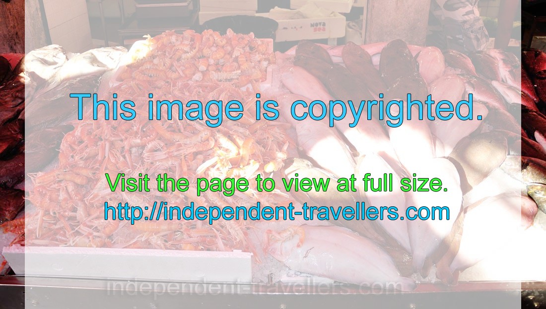 The langoustine “Norway lobster” is on sale