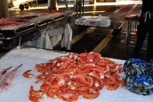 Rialto fish market: huge fresh prawns