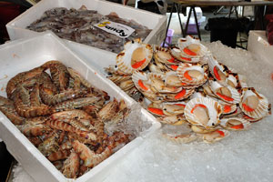 Rialto fish market: fresh scallops and giant tiger prawns