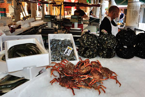 Rialto fish market: live crabs and edible molluscs